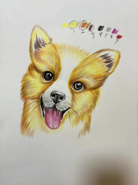 直播画的小黄狗 彩铅 简单易学 一学就会的简笔画 画画 直播画的小黄狗