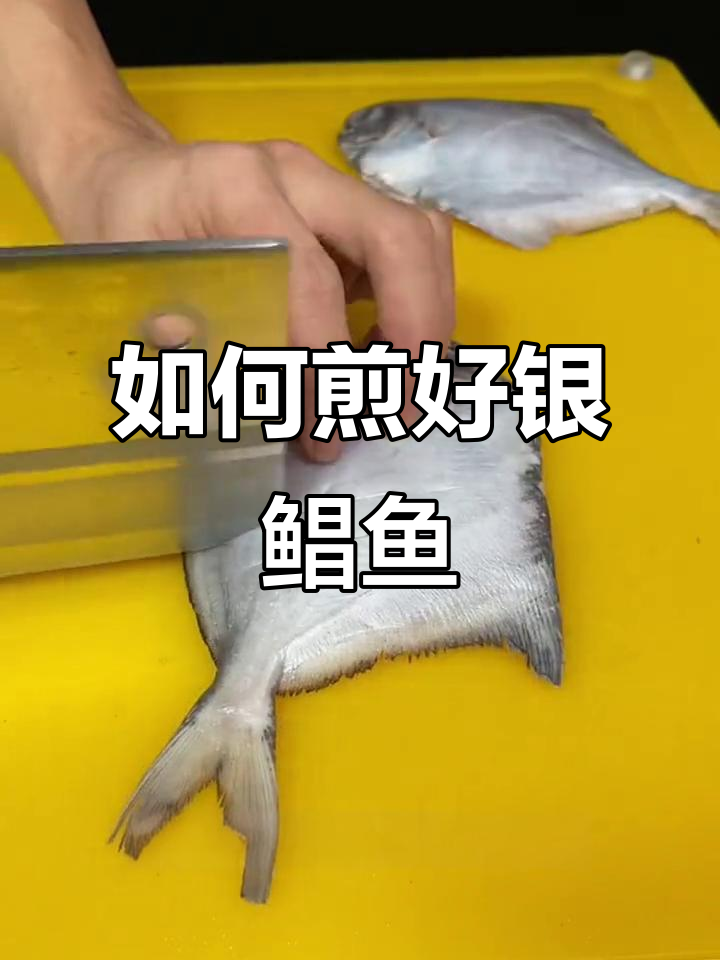 银鲳鱼煎制技巧大揭秘，轻松做出完美鱼肉