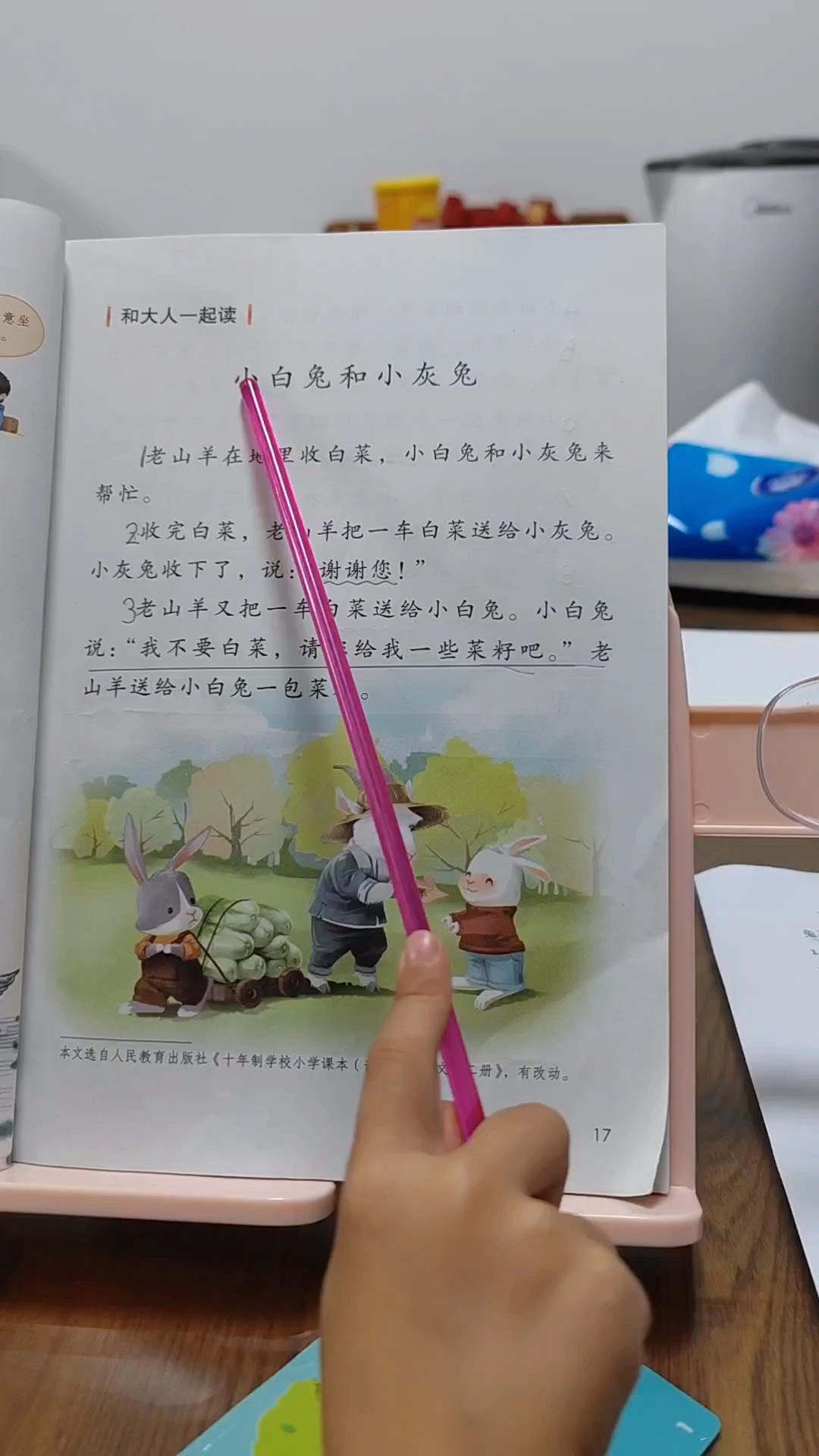 一年级语文之《小白兔和小灰兔》