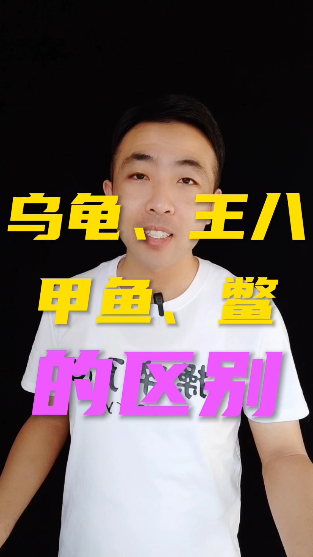乌龟、王八、甲鱼、鳖的区别