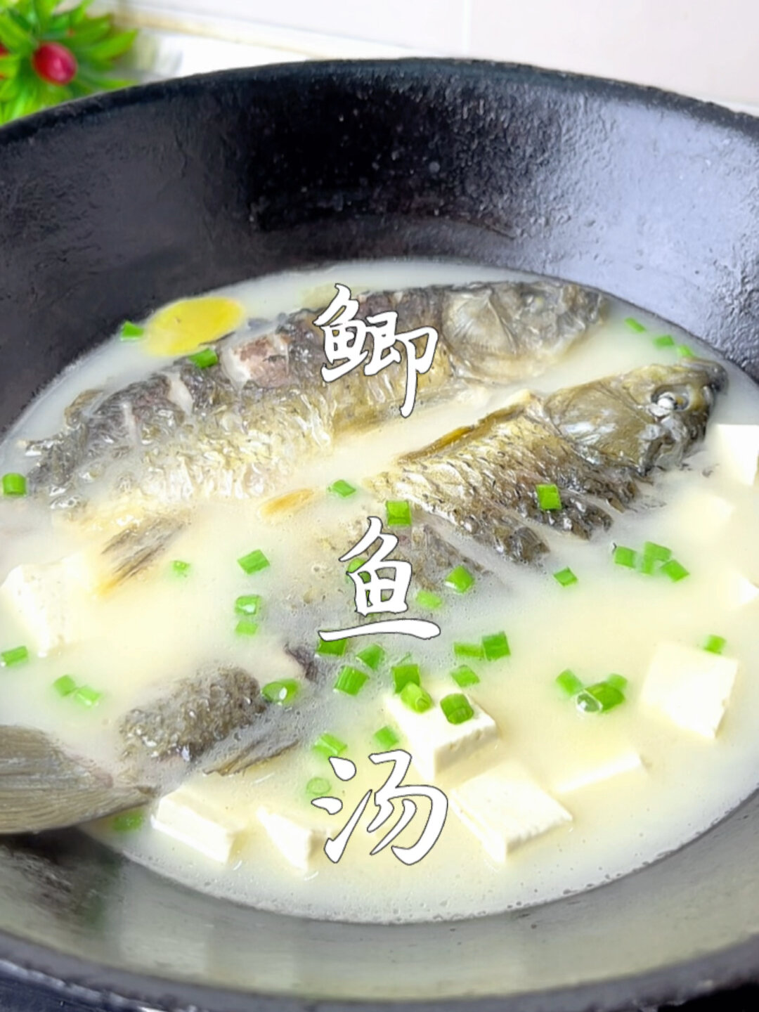 鲫鱼汤怎么做才会白呢?