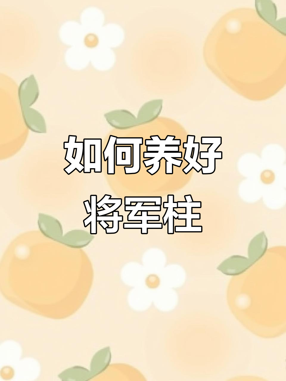 将军柱养护全攻略:光照、水分与肥料三要素