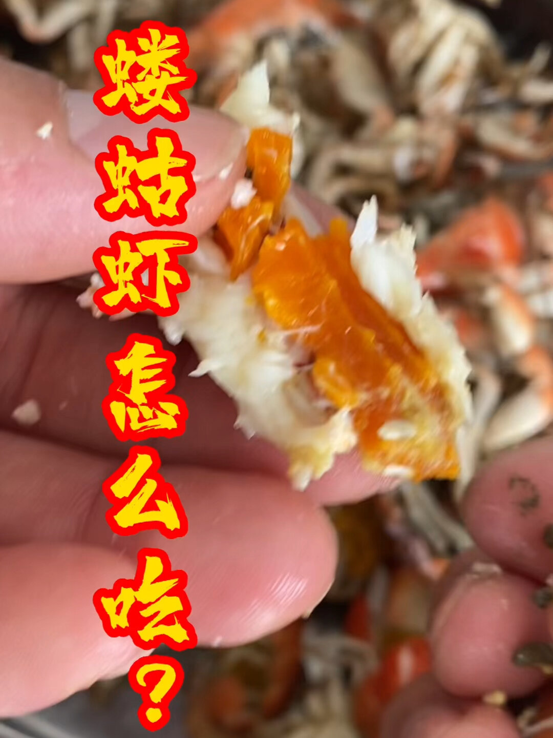 泸沽虾蝼蛄虾的做法