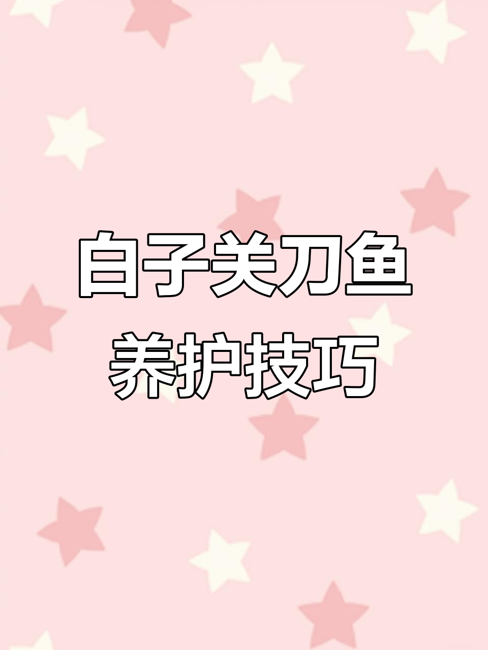 热带鱼缸中的白月光，温顺关刀与虎鱼的完美混养