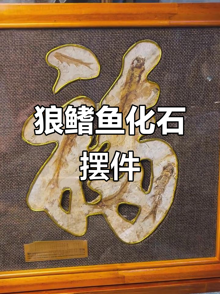 狼鳍鱼化石福字摆台,古生物魅力尽显