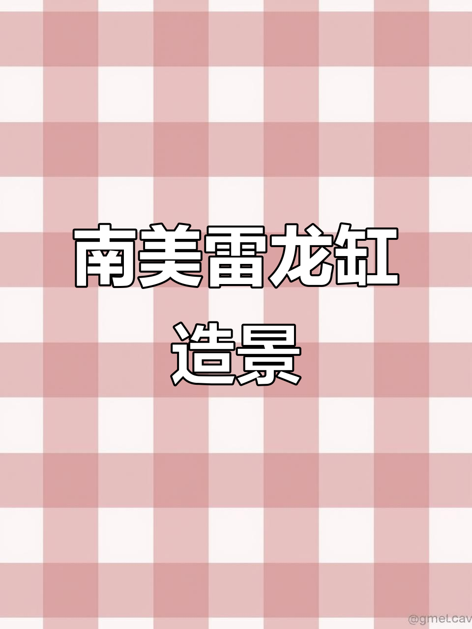 雷龙鱼缸造景全解析:南美风格与细节打造