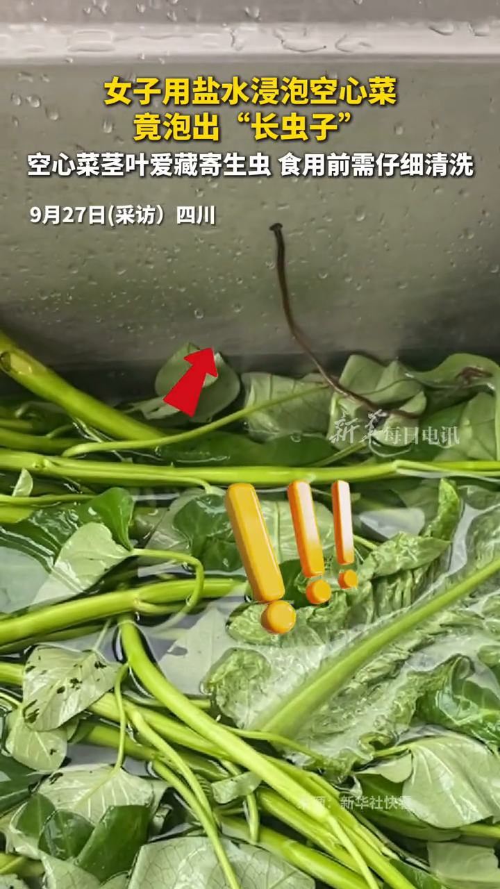 女子用盐水浸泡空心菜竟泡出“长虫子”