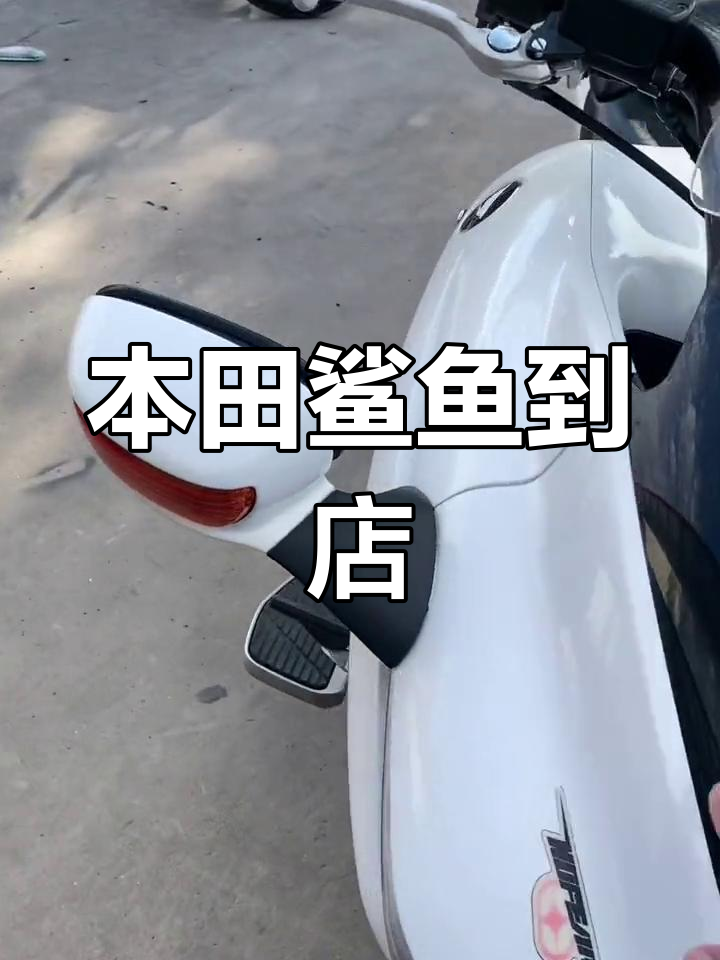 本田鲨鱼与金翼幺八零零的完美结合,单摇臂自动挡来袭