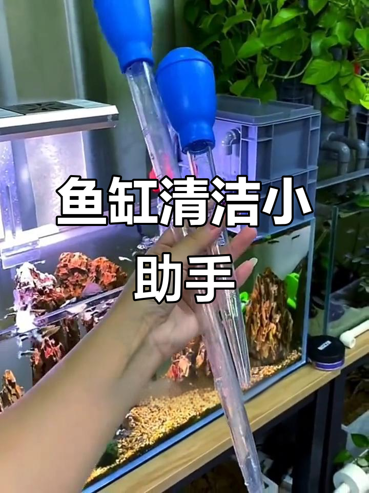 鱼缸清洁神器,轻松吸除粪便,省时又高效!