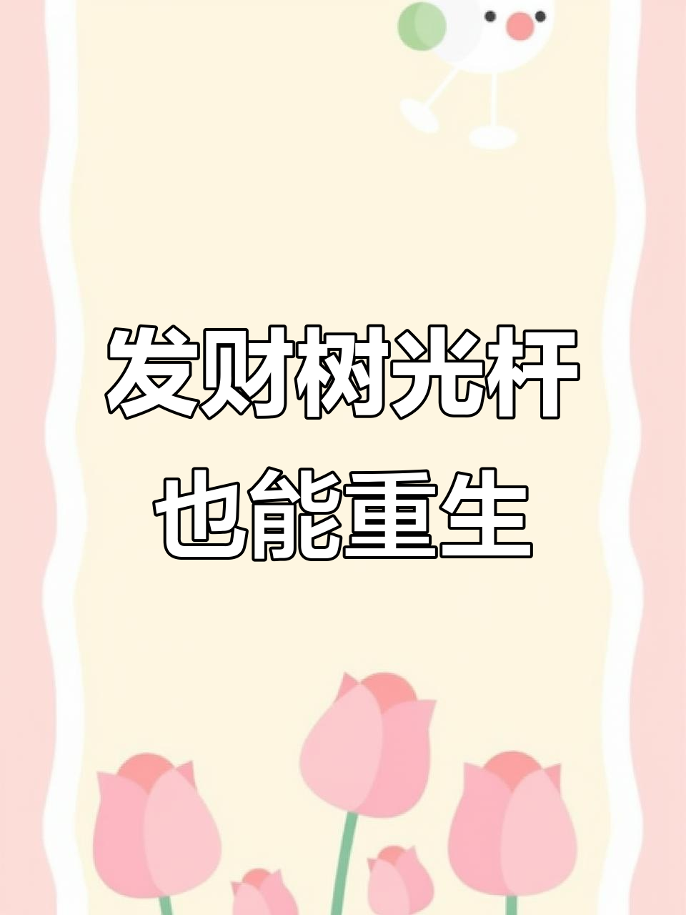 发财树枯死别急扔,刮开表皮看绿色就能救活