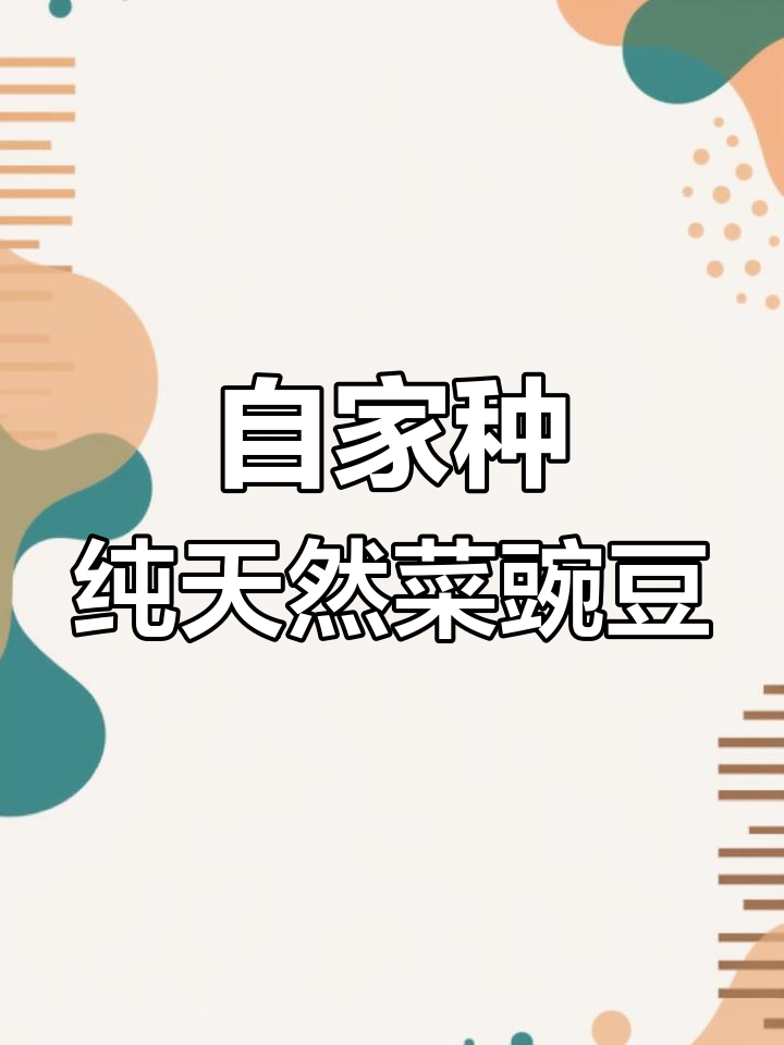 自家种的菜豌豆,儿时最爱的美味蔬菜