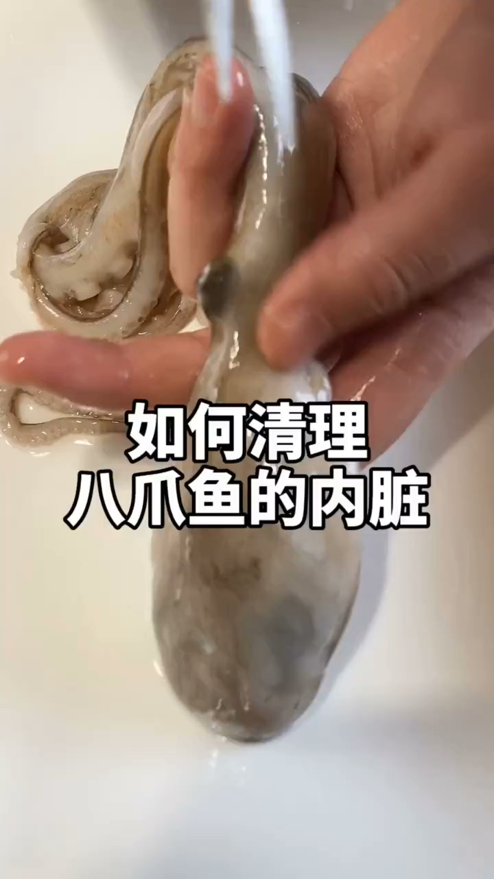 今天教大家如何清理八爪鱼的内脏
