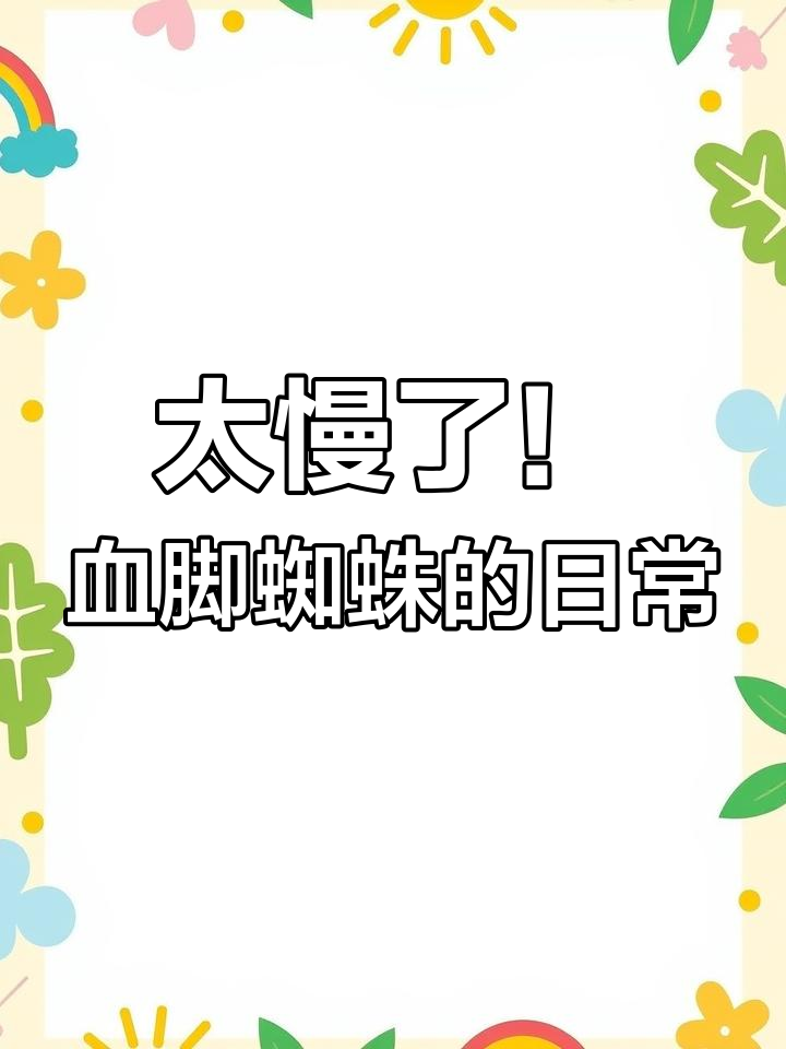 墨西哥血脚蜘蛛的慢节奏生活,肚子大得惊人