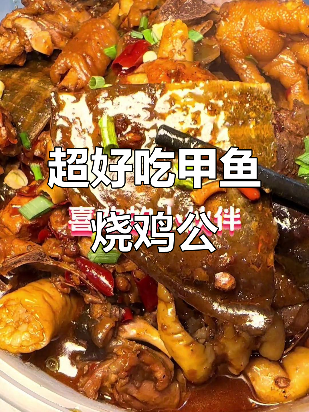 先锋牛蛙火锅店,甲鱼烧鸡公超美味!