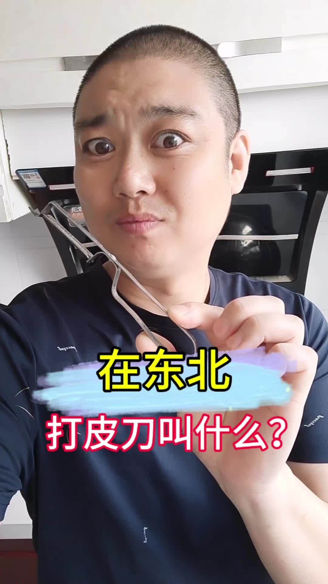 在东北,打皮刀,叫什么?方言 东北话 一本正经飚方言 表情包