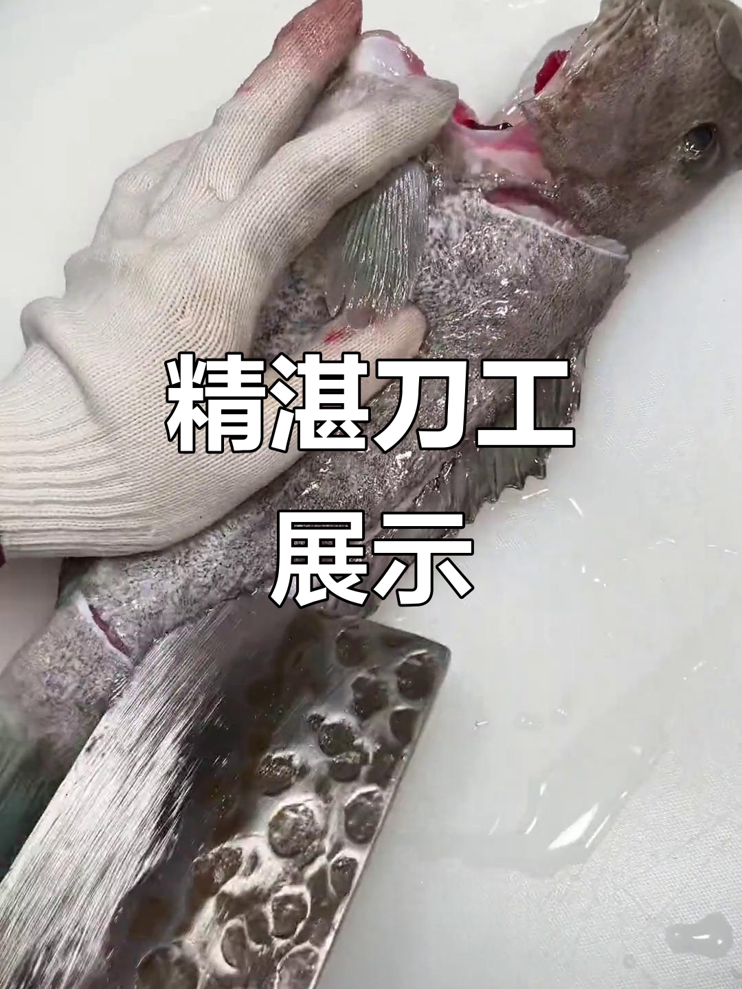 蓝瓜子斑鱼生,切得精细入微,师傅技艺令人惊叹!