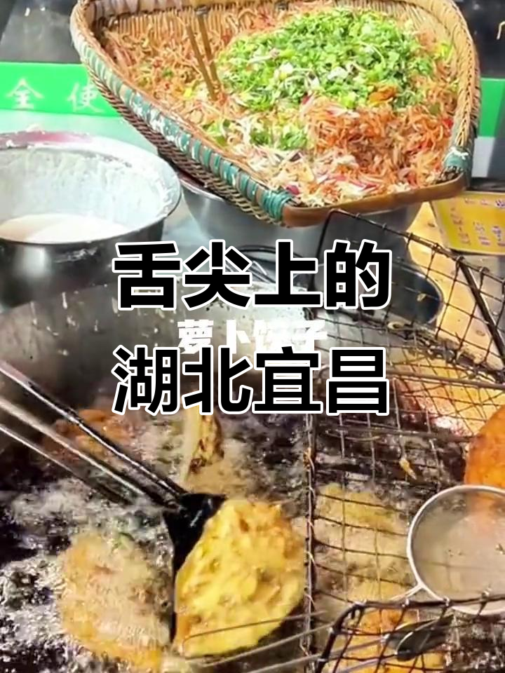 宜昌美食大揭秘:萝卜饺子、肥鱼与神仙鸡的完美邂逅