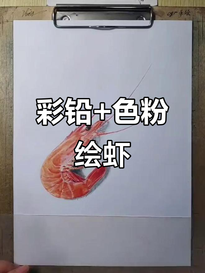 用彩铅和色粉画可爱虾,简单又有趣!