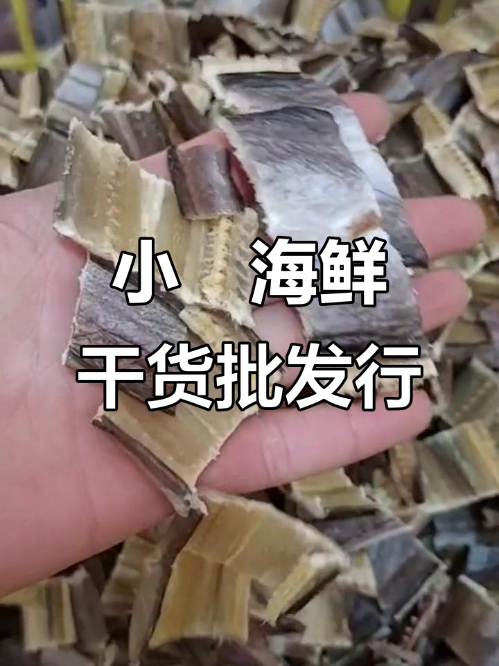惠安小岞海鲜干货批发,新鲜鱿鱼品质保证