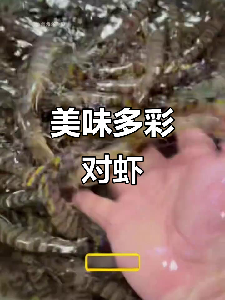 色彩斑斓,口感绝佳的竹节虾