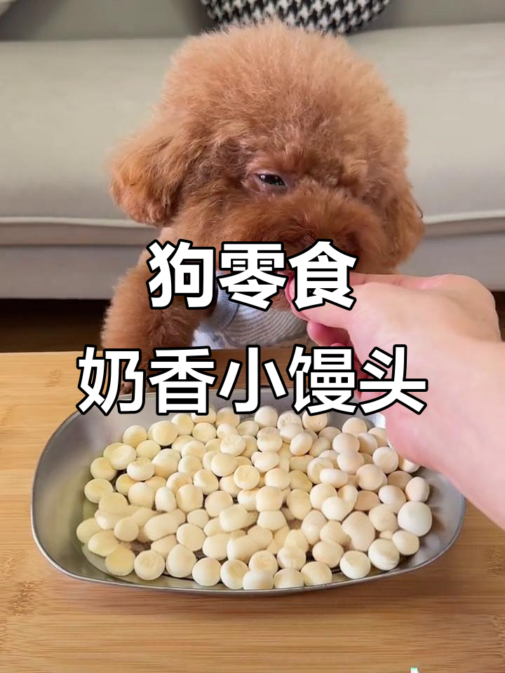 奶香小馒头,狗狗最爱的小零食,一罐能吃很久