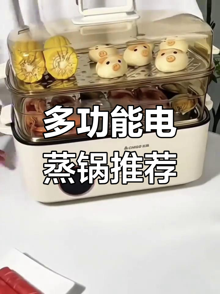 志高多功能电蒸锅,大容量多层设计,轻松搞定家庭料理
