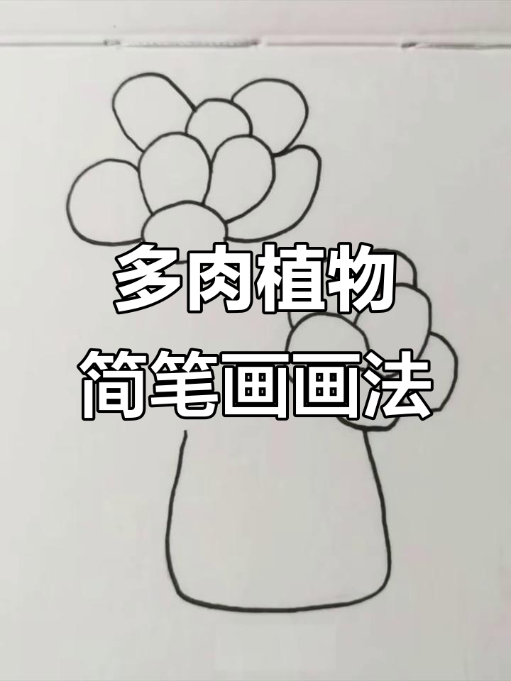 可爱多肉简笔画，轻松上手！