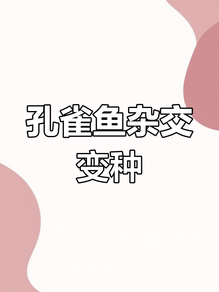 孔雀鱼杂交实验,竟然生出这种品种?黑眼睛让我懵了
