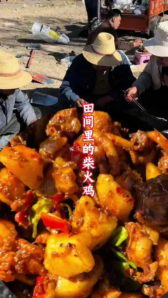 真正田间地头的柴火鸡,讲究的就是有柴也有火