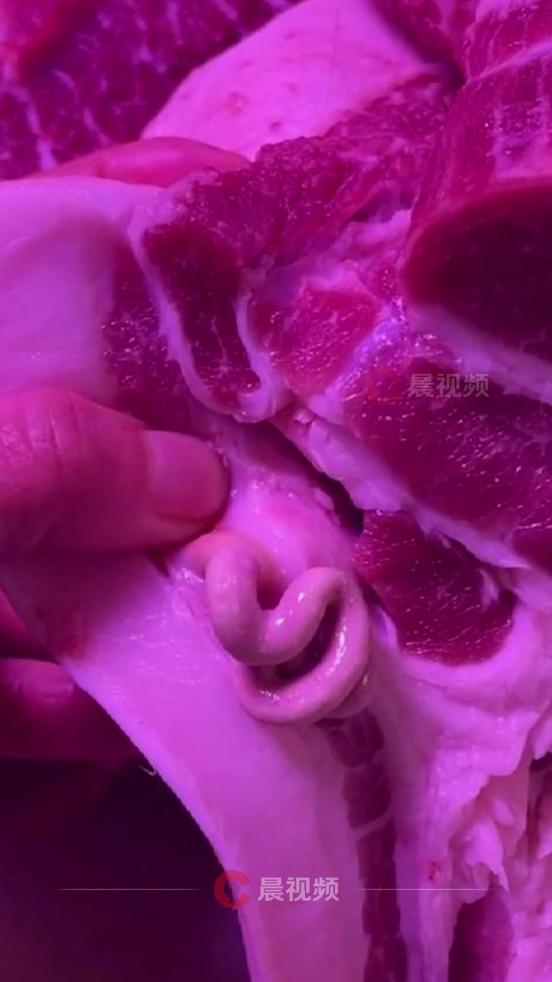 卖猪商户切肉时发现猪被打针,表面有脓包,并能挤出白色膏状物