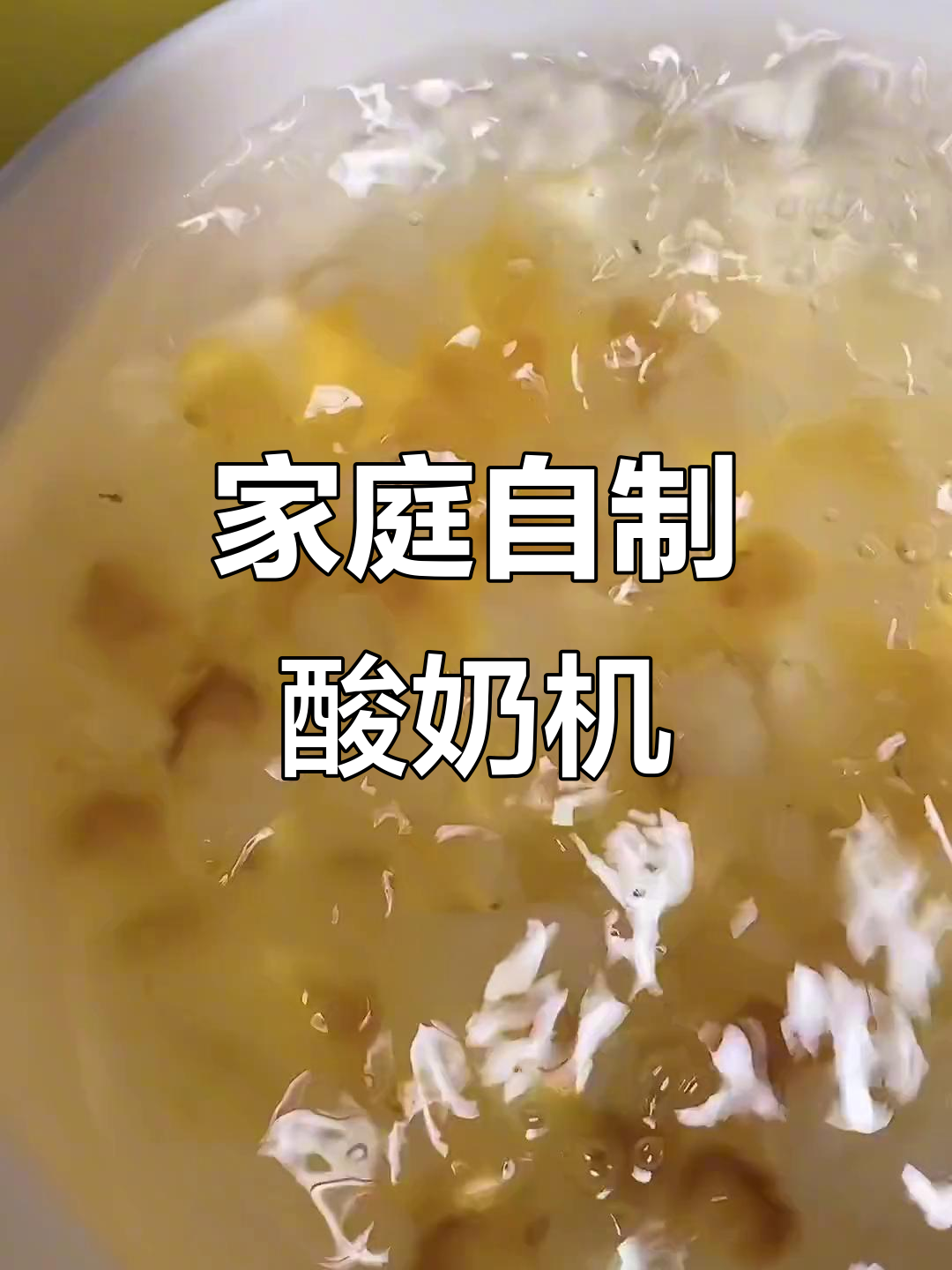 自制酸奶机大揭秘,轻松搞定养生甜品