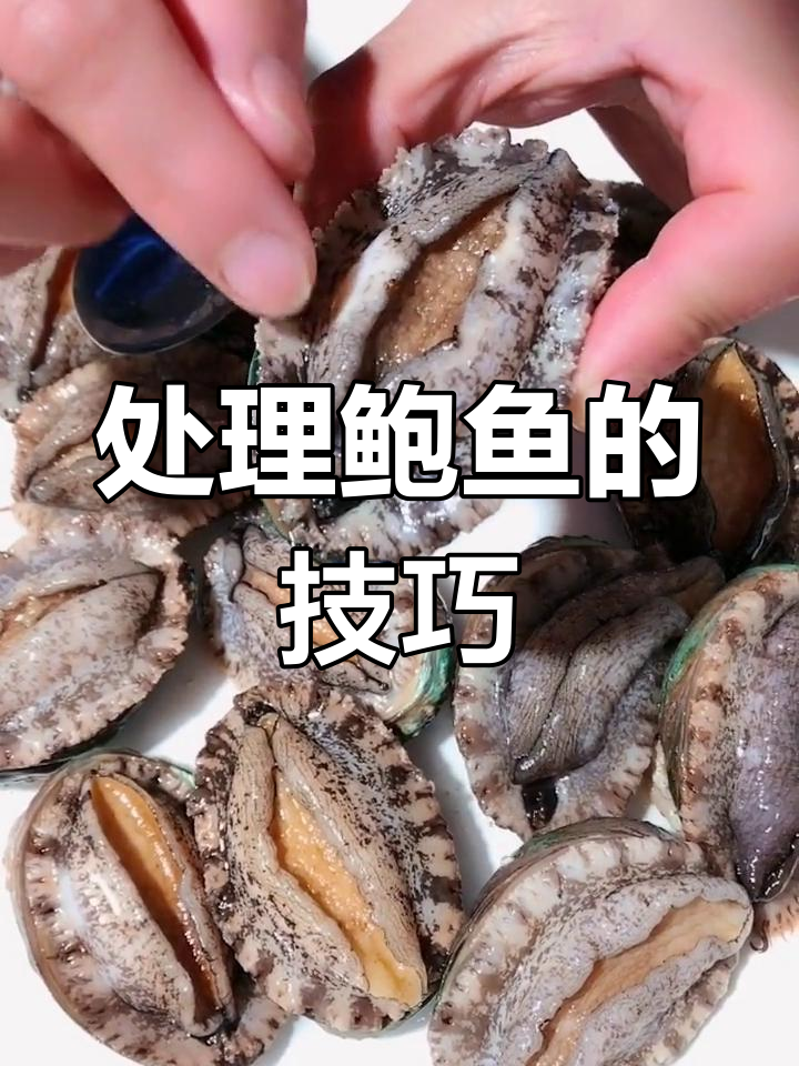 教你轻松处理鲍鱼,步骤超简单