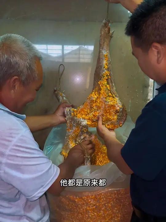 里屋飘来腊肉的醇厚香气,像浸了时光的暖。他掀开高压锅时蒸汽氤氲,“这是三年前收玉米时腌的,