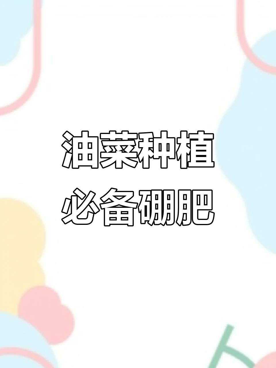 油菜高产秘诀:硼肥如何助力花芽分化与抗逆能力提升