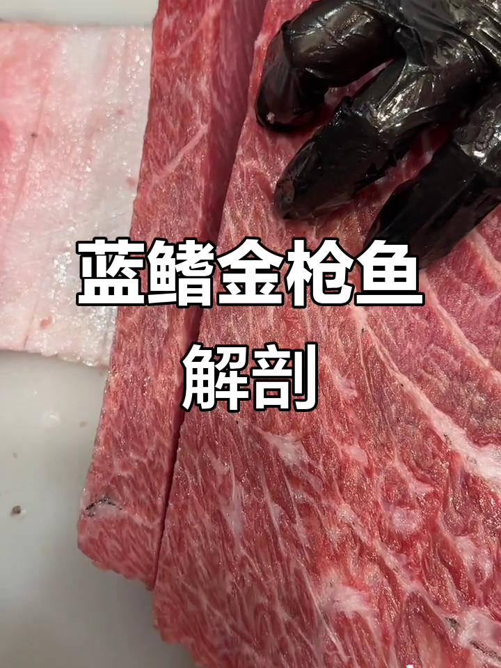 蓝鳍金枪鱼大揭秘：从腹膜到血核的完美分解