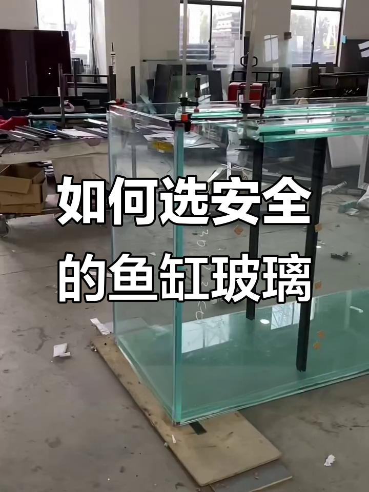 鱼缸玻璃厚度如何选择才安全?超白玻璃与双层胶片工艺解析