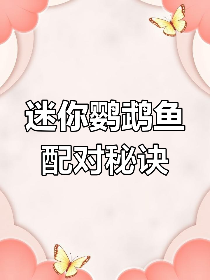 迷你鹦鹉鱼配对技巧,如何让它们快速成功繁殖