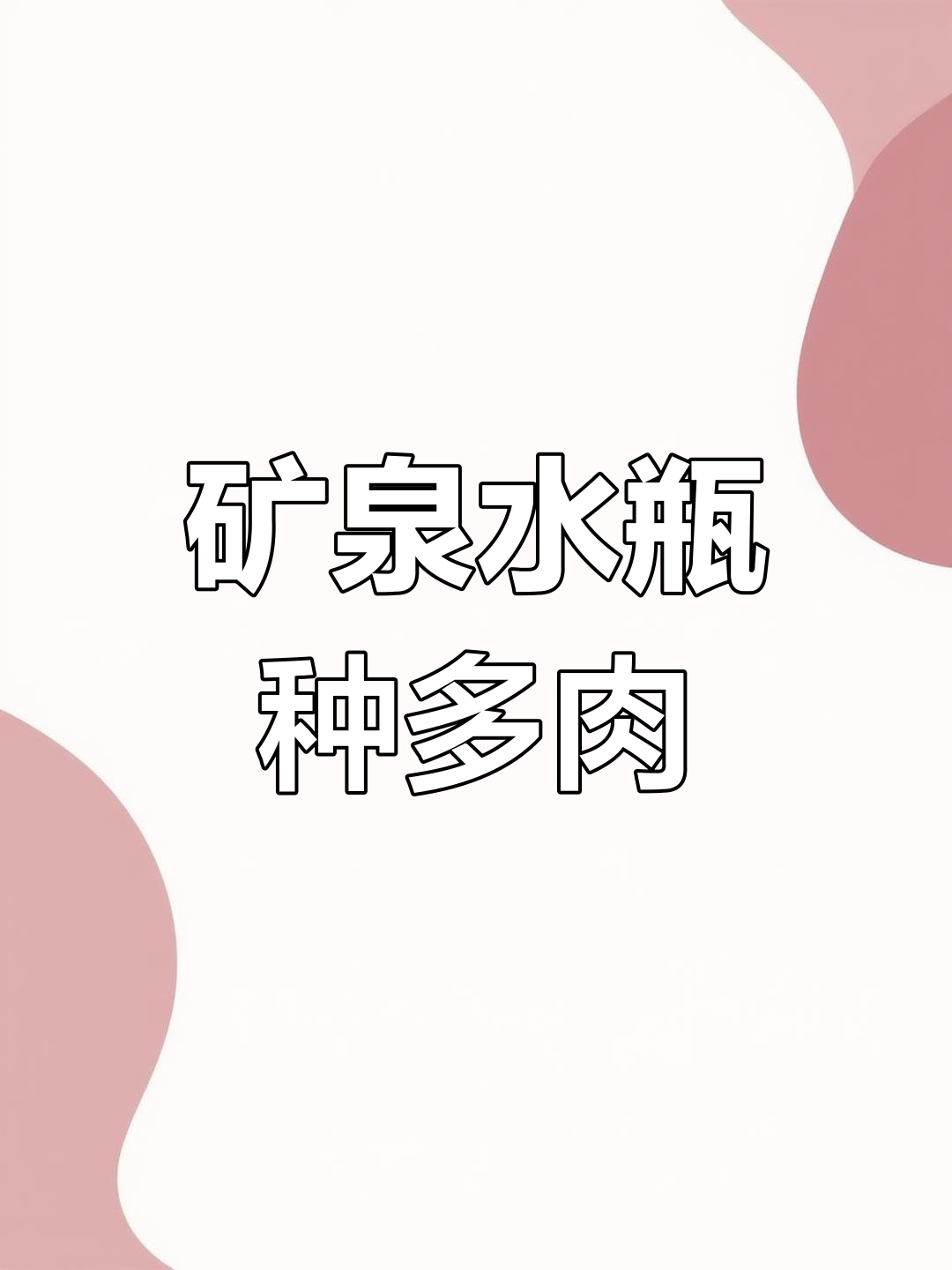 用矿泉水瓶种多肉,轻松掌握叶插技巧