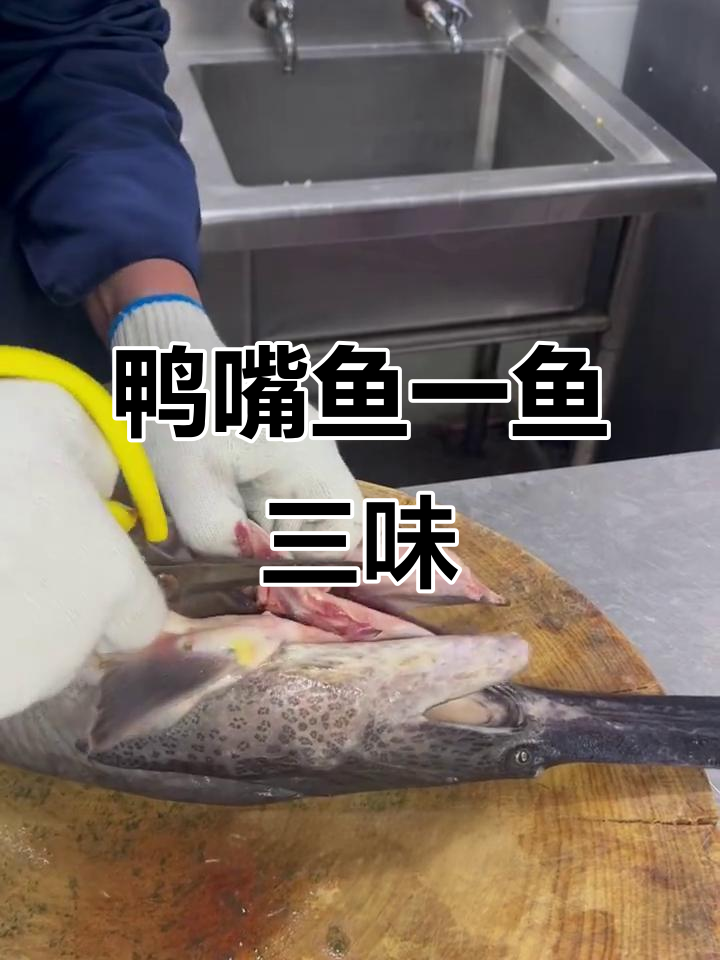 一鱼三吃，鸭嘴鱼肉质鲜美，三种做法轻松搞定