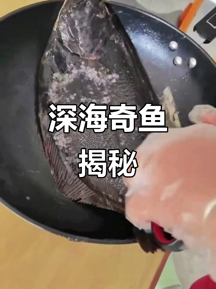 深海怪鱼大揭秘,眼睛长这样?