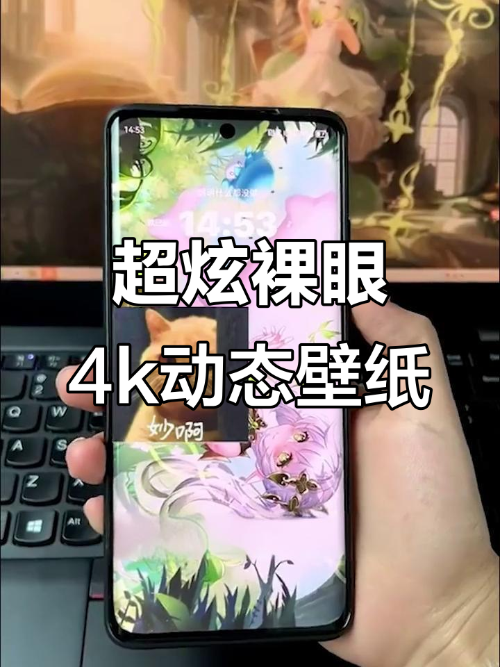 竖屏壁纸超炫酷,横屏切换黑白丝风格