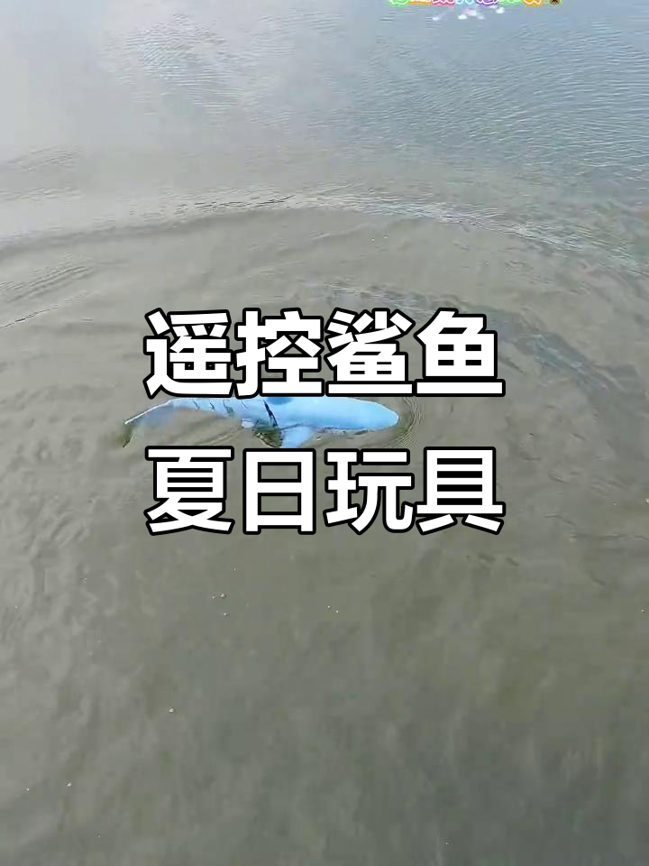 夏季必备遥控鲨鱼,玩水乐趣多