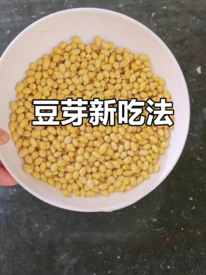 发豆芽后,各种美味苗菜随心换!