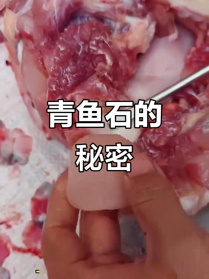 青鱼石藏身何处?雕刻后的美丽让人惊艳