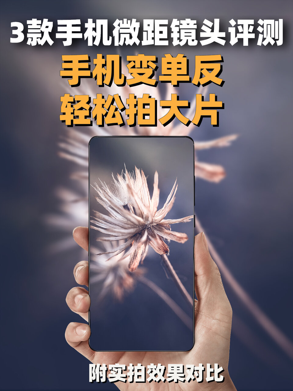 手机变单反3款手机微距镜头评测