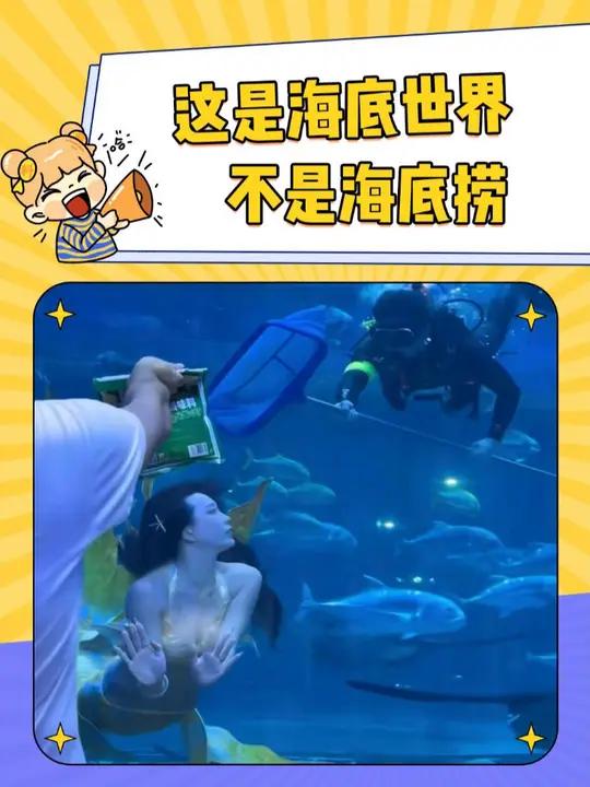大哥这是海底世界不是海底捞啊 海底世界 西安景区 酸菜鱼
