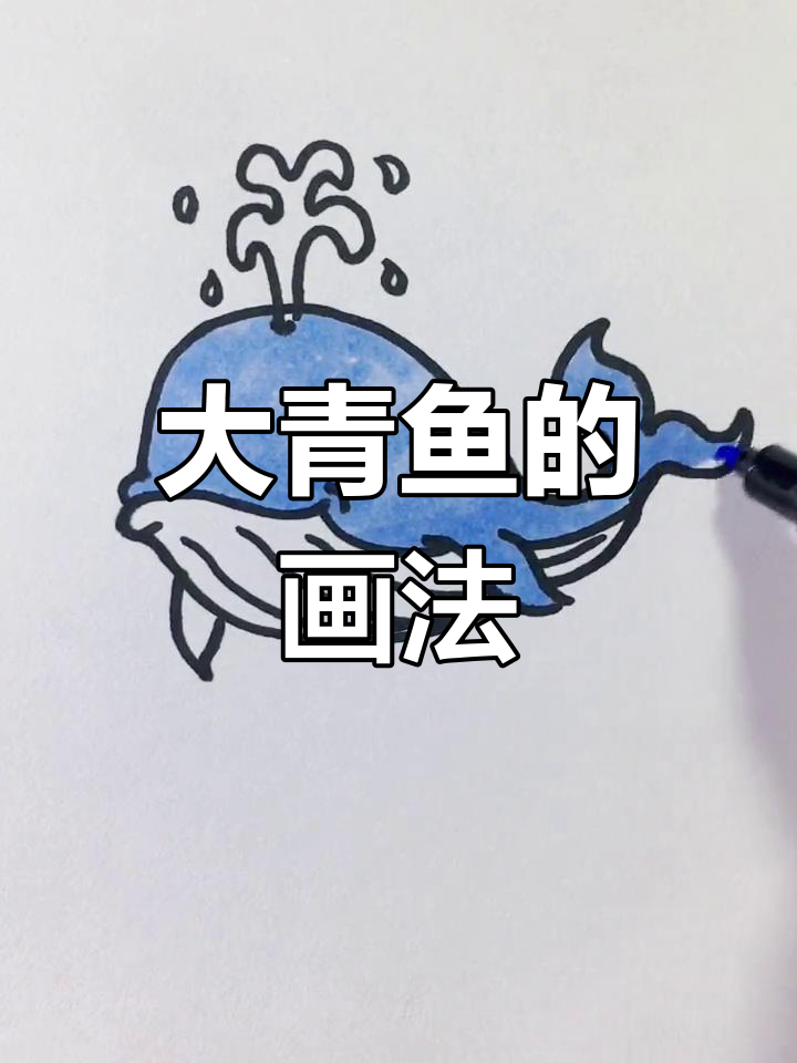 儿童简笔画教程:绘制大鲸鱼