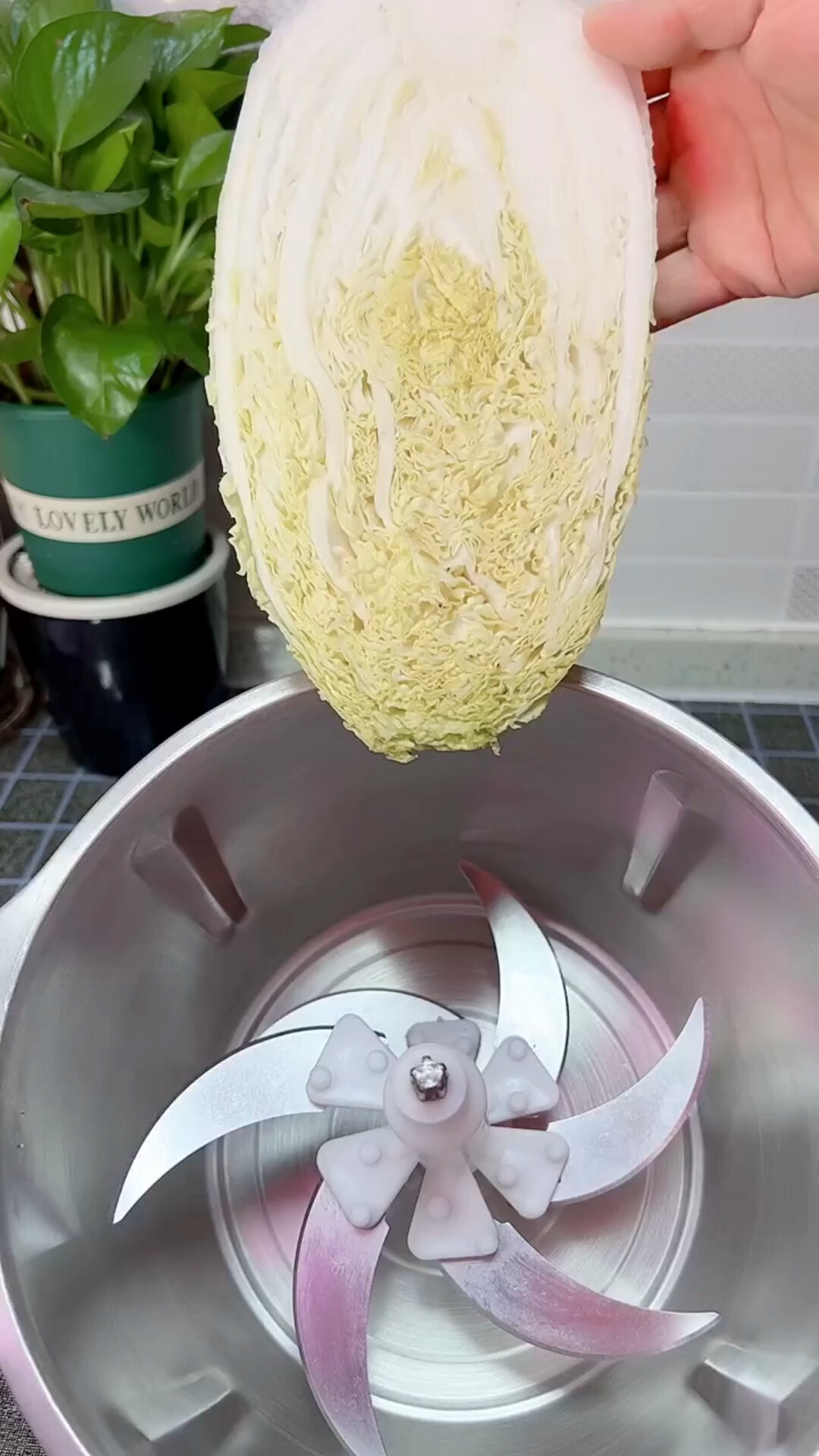 用绞肉机绞大白菜馅也不错