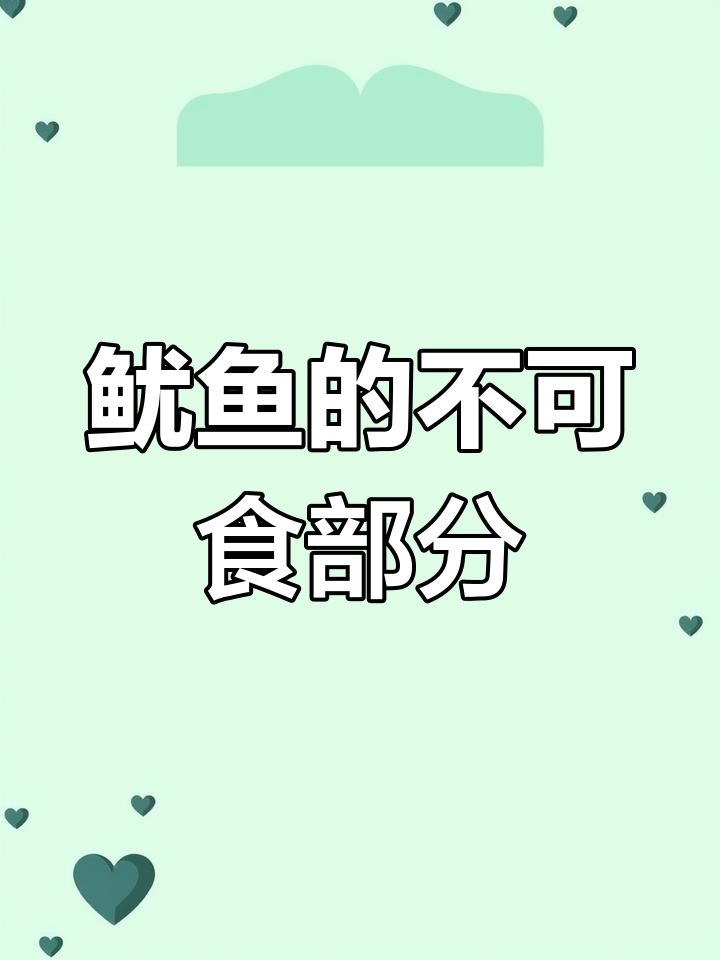 鱿鱼肚子里的这些部位不能吃,处理技巧大揭秘
