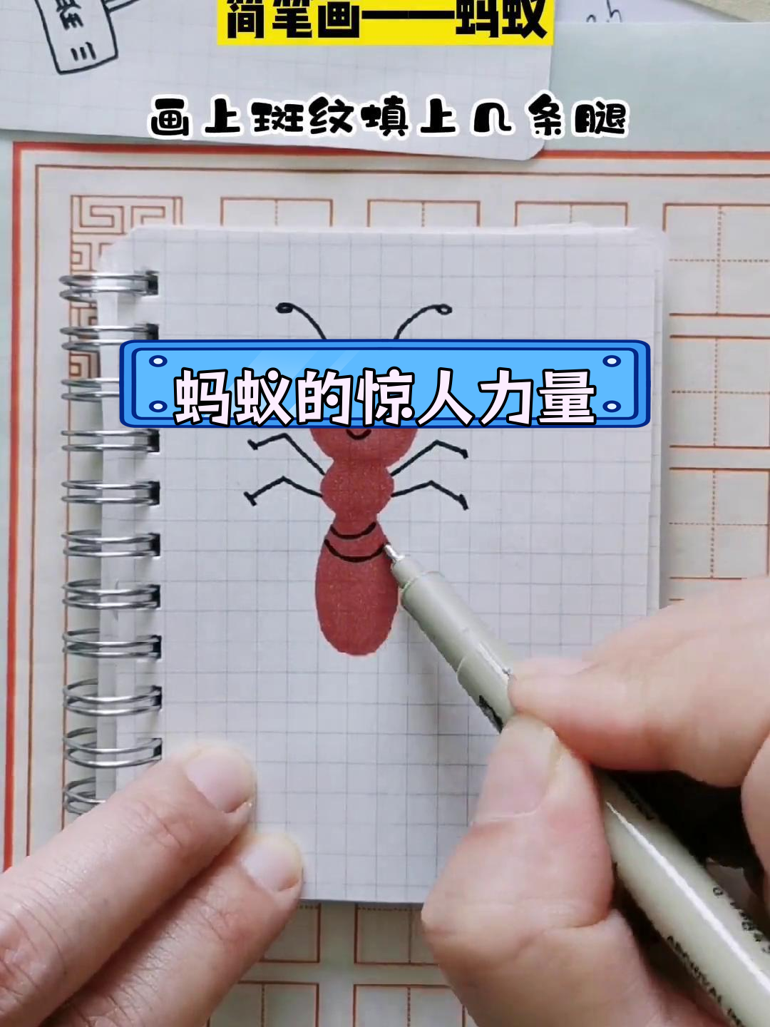 蚂蚁能举起超重物体,科学家揭秘大力士秘密